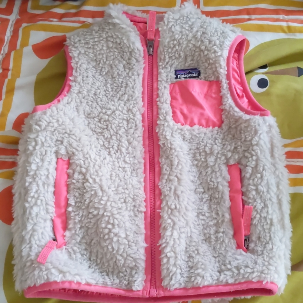 Patagonia vest
